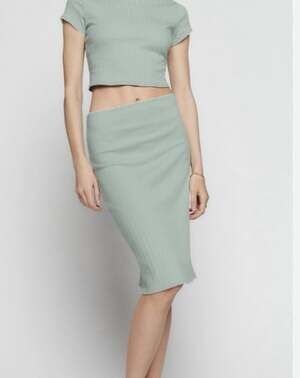 Reformation Light Green Blue Pointelle Knit Golden Knee Length Skirt Medium